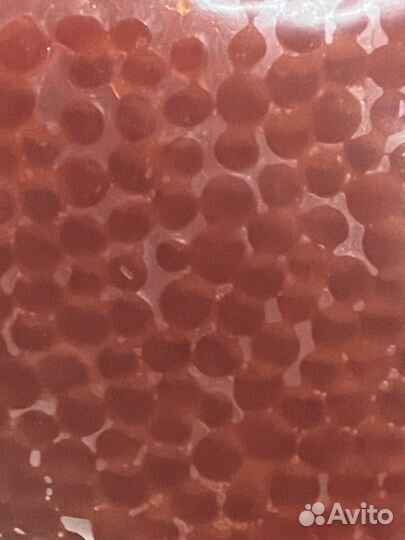 Красная икра 2023