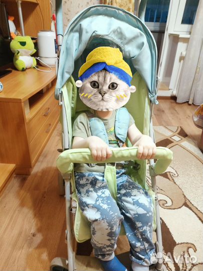 Прогулочная коляска трость