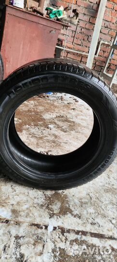 Nokian Tyres Nordman SX2 205/55 R16