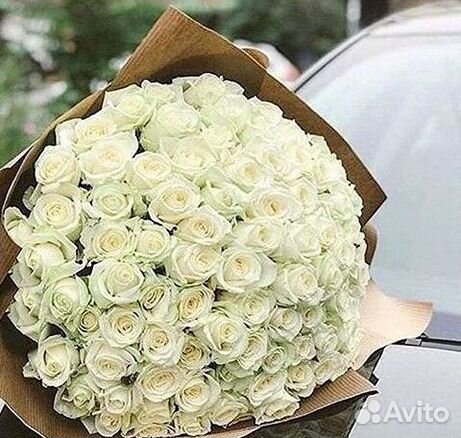 101 Роза Цветы Букеты 51 25 Роз Доставка