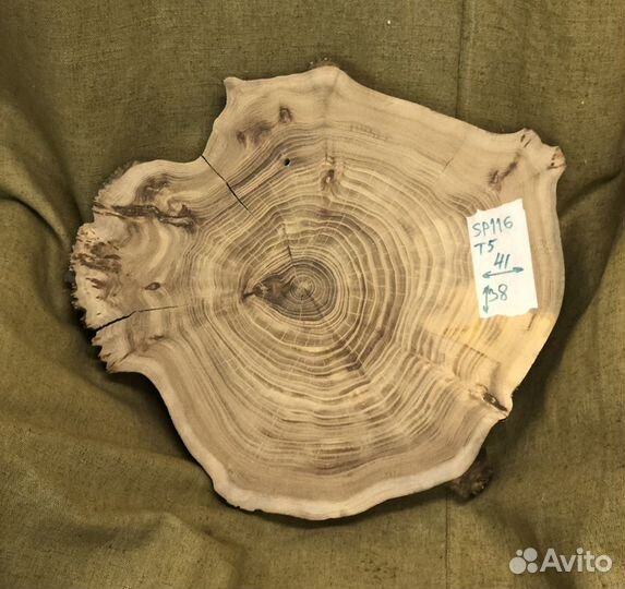 Спил карагача