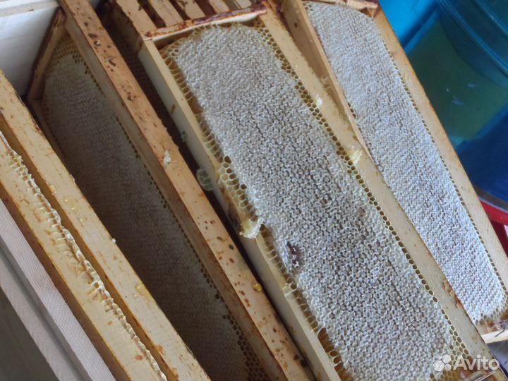 Башкирский эко-мёд