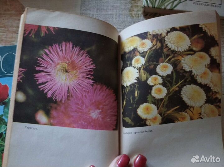 Книги по цветоводству