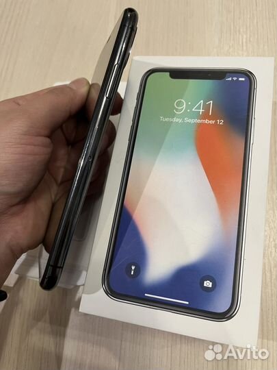 iPhone X, 256 ГБ