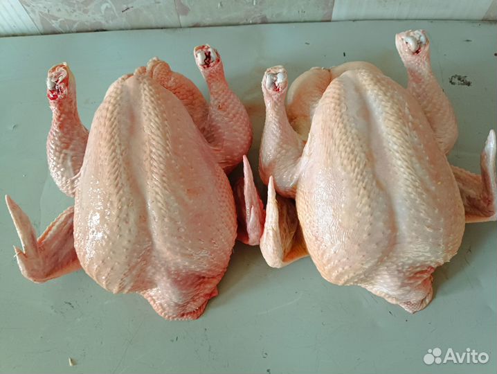 Мясо кур бpойлеров, вкусные и сочные куры гриль