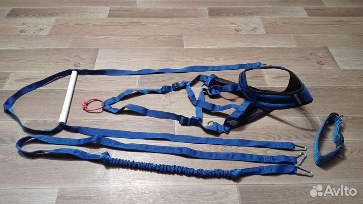 Шлейка для собаки