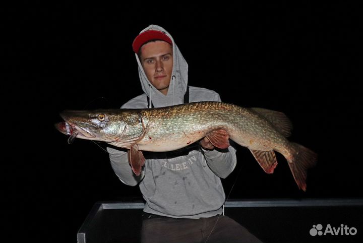 Рыбалка с гидом на спиннинг на реке Ока с лодки