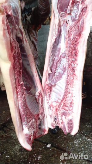 Свиньи на мясо