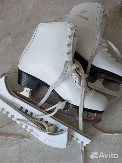 Коньки geneva graf 36