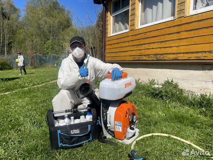 Уничтожение клопов, травить тараканов, дезинфекция