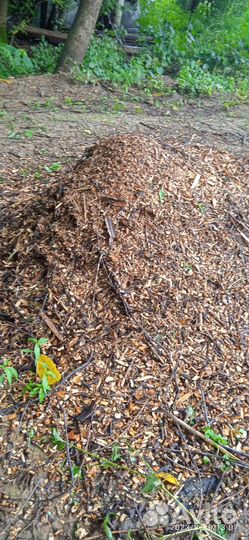 Измельчитель веток садовый