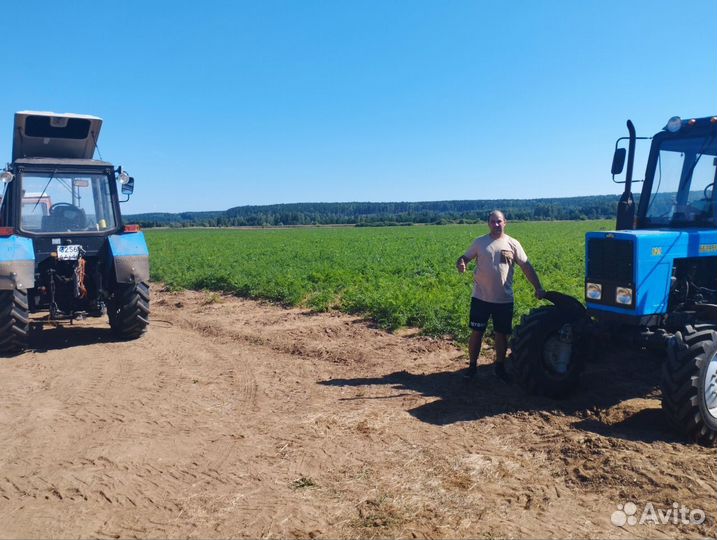 Ищу инвестора в чеснок. Доход до 500тыс в месяц