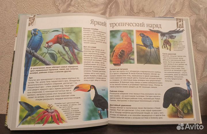 Детская энциклопедия 