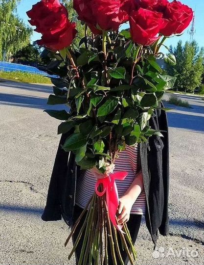 Розы Цветы Букеты 25 151 201 101 301 501 опт