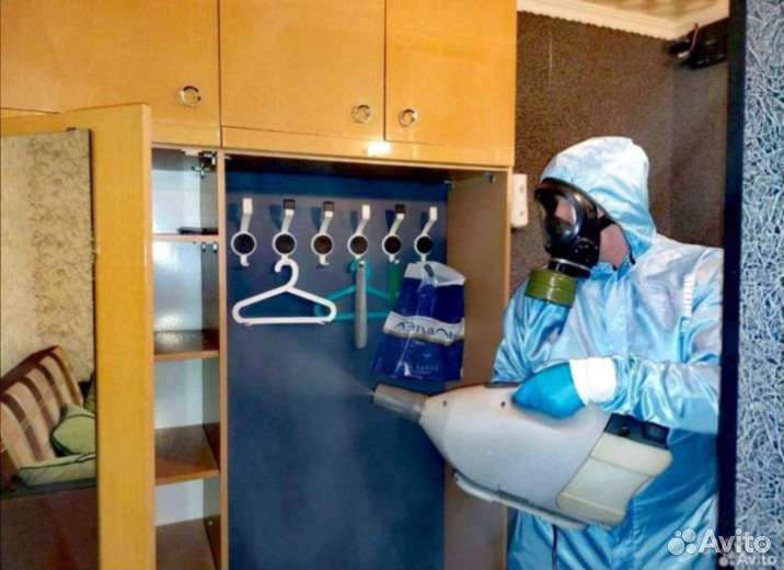 Уничтожение тараканов клопов мышей блох клещей