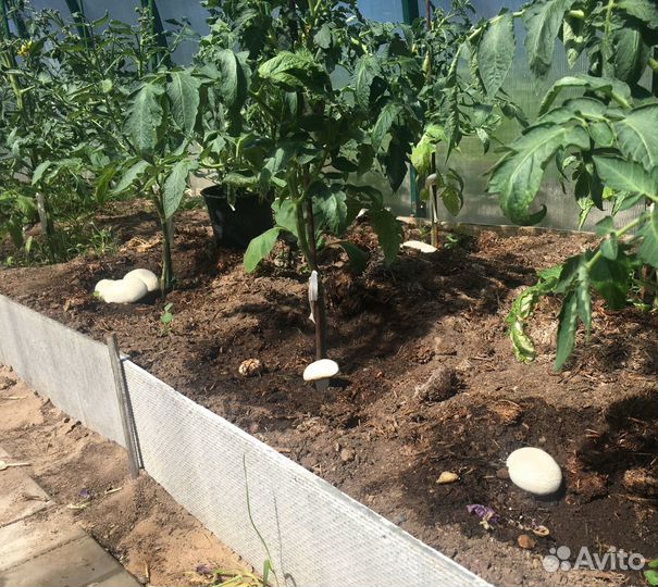 Перегной, компост из под шампиньонов