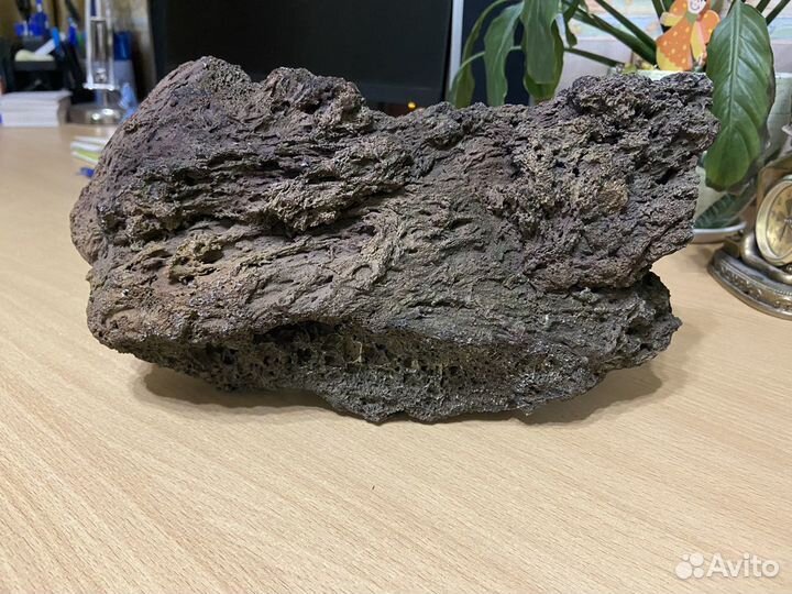 Товары для рыбок