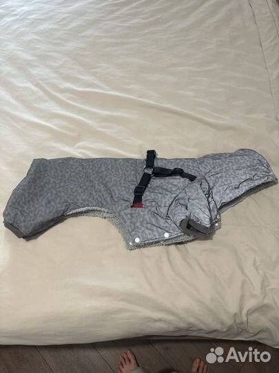 Зимний костюм для собаки