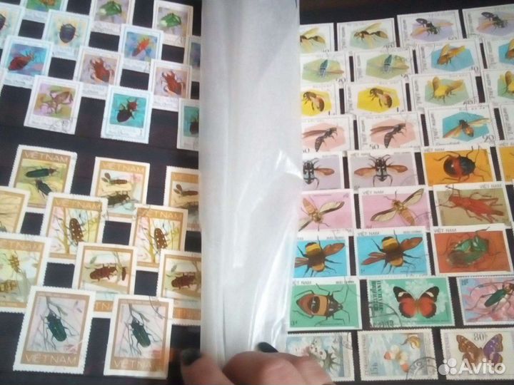 Фауна и флора альбомы 14 шт