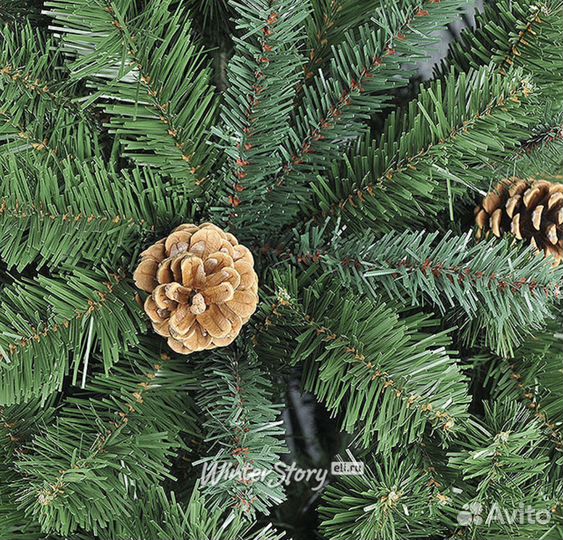 Елка с шишками «Царь Елка»
