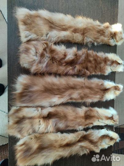 Шкурка куница
