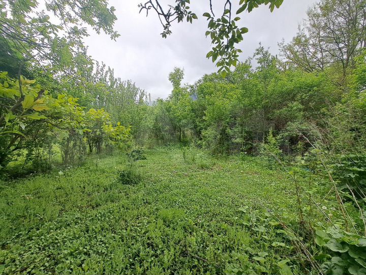 Участок 5,3 сот. (ИЖС)