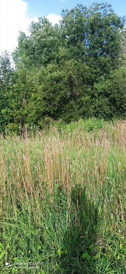 Участок 75 сот. (ИЖС)