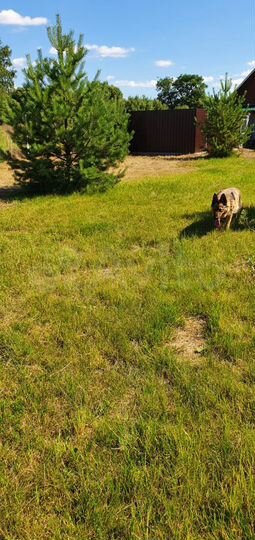 Участок 18 сот. (ИЖС)