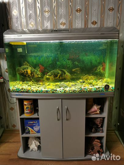 Аквариум