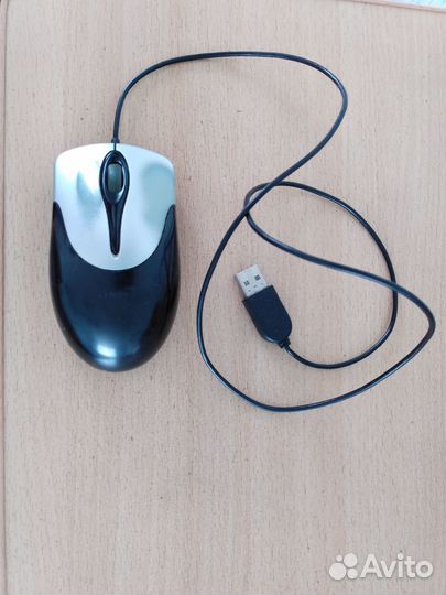 Мышки Genius NetScroll 100 USB