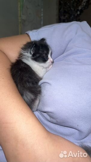 Малышка ласковая девочка