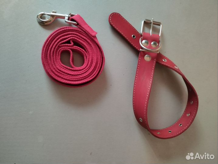 Ошейник с поводком для собак