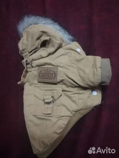 Куртка зимняя для маленькой собачки