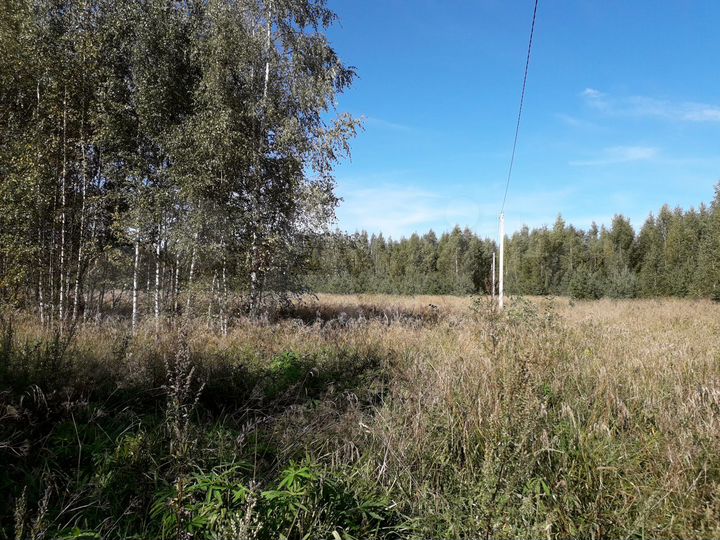 Участок 3,6 га (СНТ, ДНП)