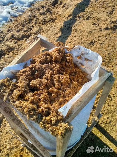 Конский навоз