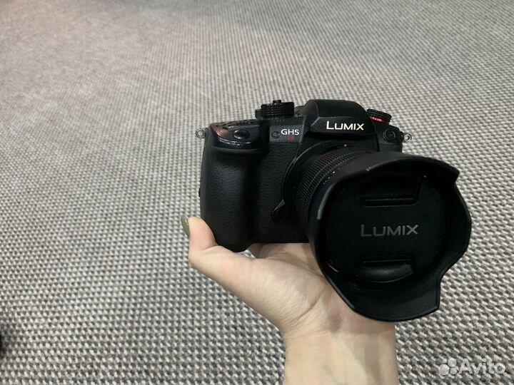 Panasonic lumix GH5S