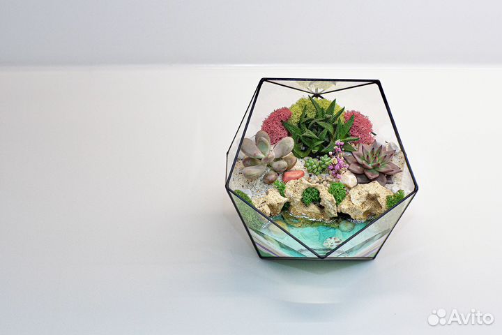 Флорариум в наличии