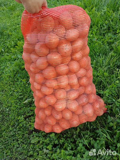 Продам картофель