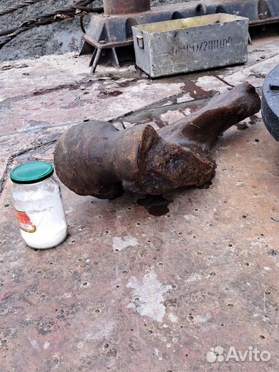 Кость мамонта