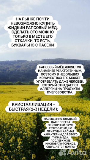 Мёд майский, рапс + весь первоцвет урожай 2023 г