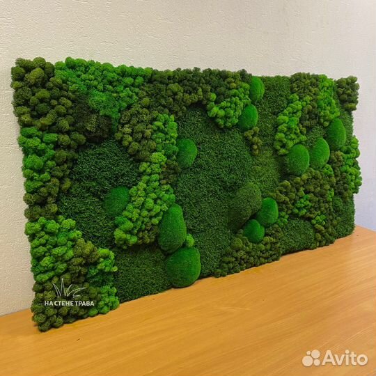 Панно Картины Фитостена из мха 50*50