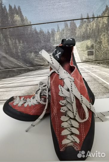 Скальники детские