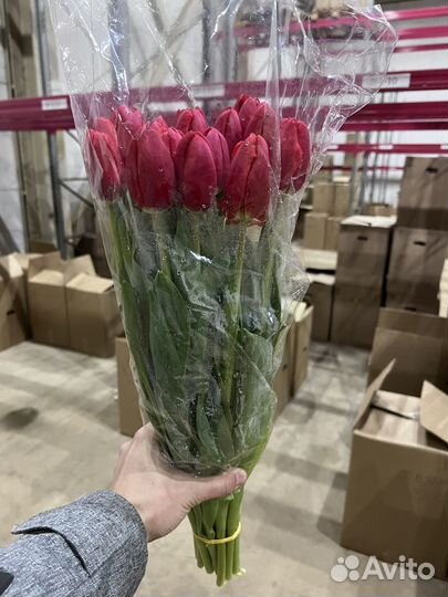 Тюльпаны к 8 марта оптом