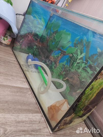 Аквариум