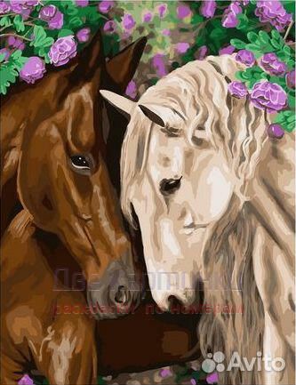 Картина по номерам 40x50 Две лошади среди