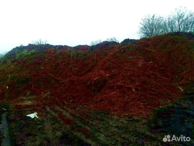 Чернозем, навоз с доставкой. Камаз 15 тонн