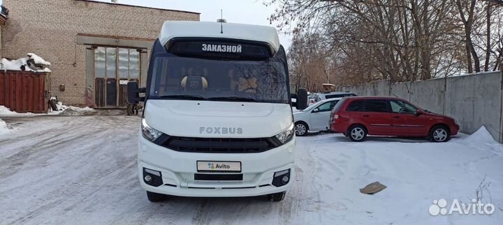 Туристический автобус Foxbus Daily, 2021