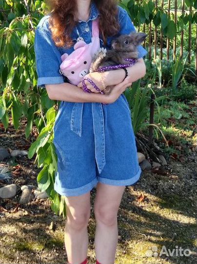 Отдам кролика в добрые руки