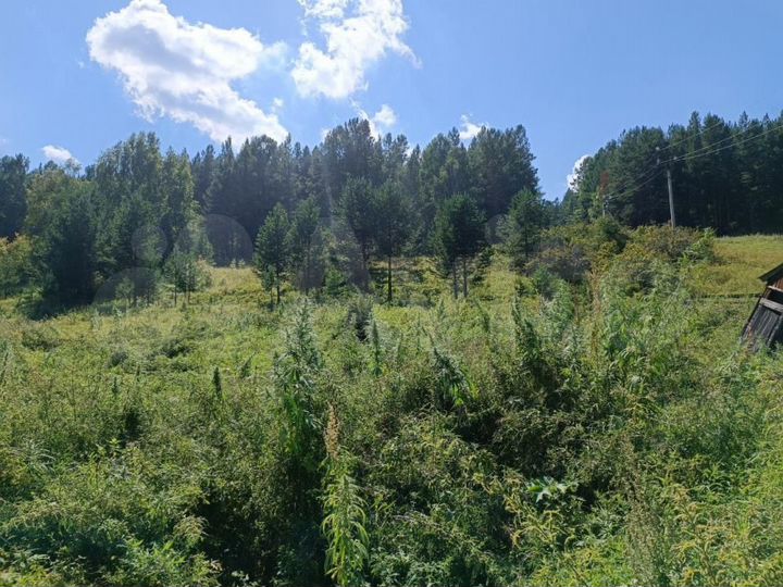 Участок 38 сот. (ИЖС)