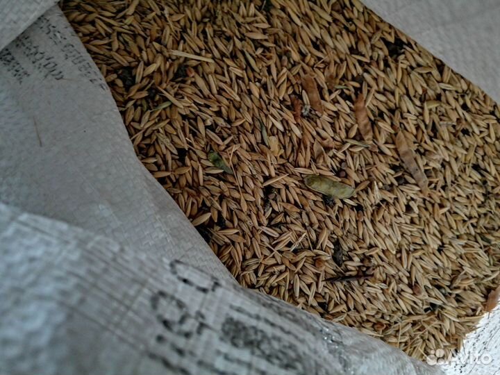 Сено, комбикорм, зерно цена за всё